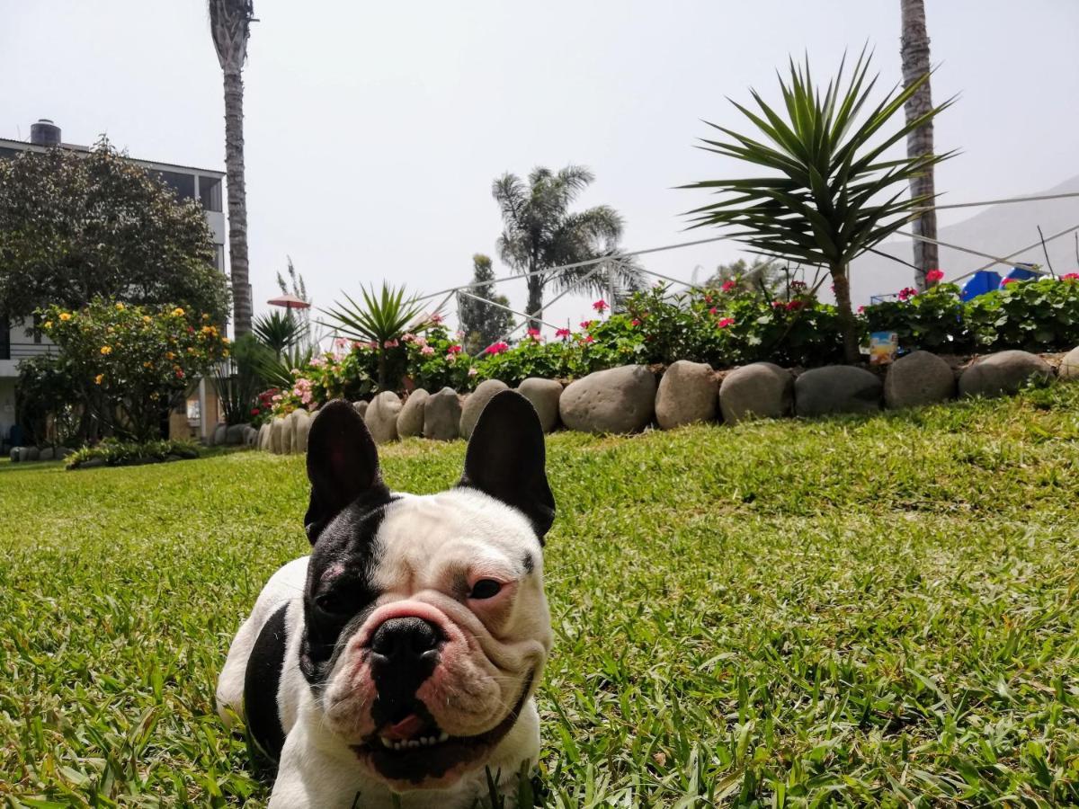 Mi Pequeno Club Hotell Lima Exteriör bild